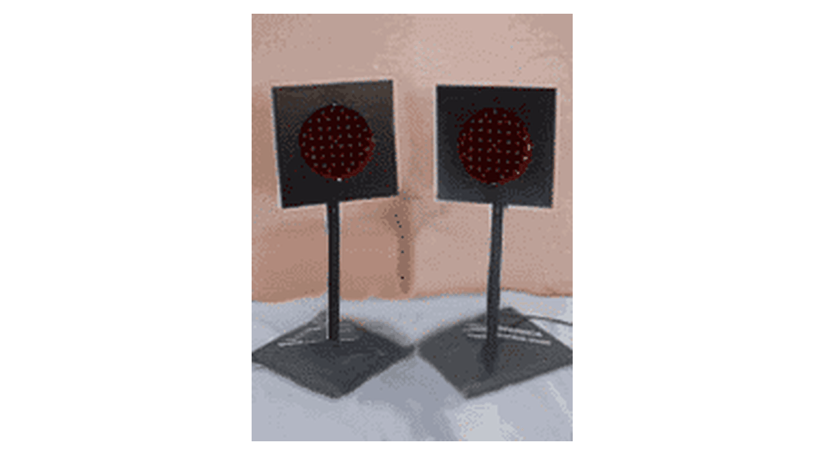 Model 3221 LED Win Lights